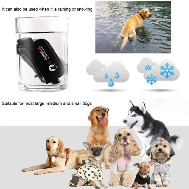 Automatisches Antibellhalsband-System zur Haustiererziehung + Elektroschockhalsband aus PU-Leder für Hunde, PD525