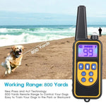 880-2 Wiederaufladbares Hundetrainingshalsband mit Fernbedienung (Reichweite 800 Yards), Antibellgerät, 880-2 Schwarz, 880-2 Schwarz+Orange