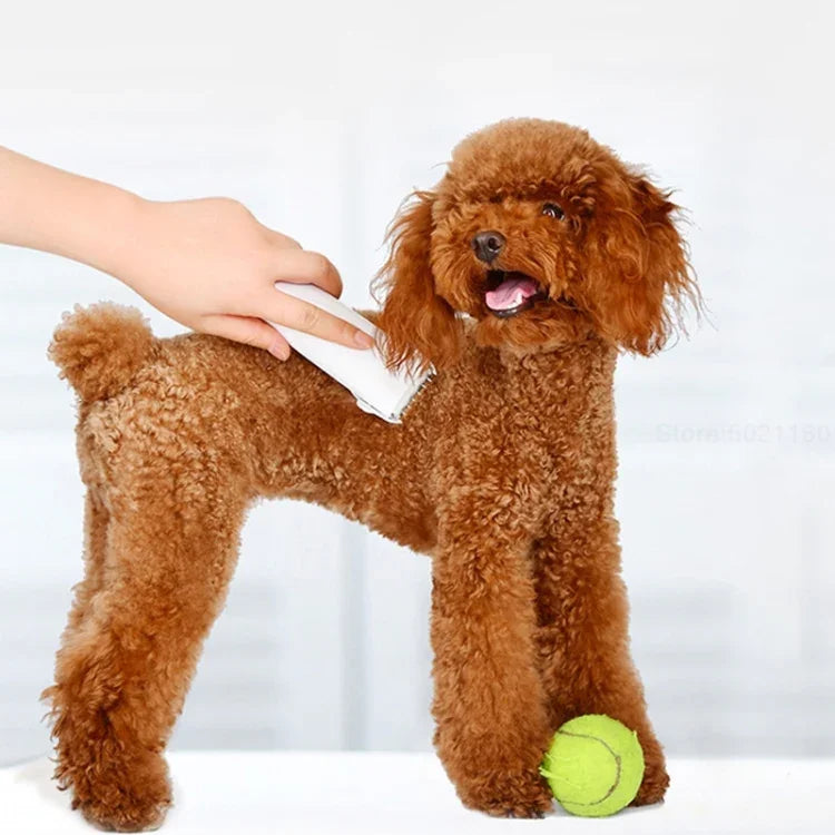 Original Xiaomi Youpin Pawbby Dog Professional Rasierer, elektrische, wiederaufladbare und sichere Haarschneidemaschine für Haustiere
