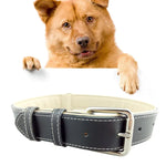 Leder-Hundehalsband, Haustierprodukte, großes Hundehalsband, Größe: L, 2,5 x 51 cm, Größe: L