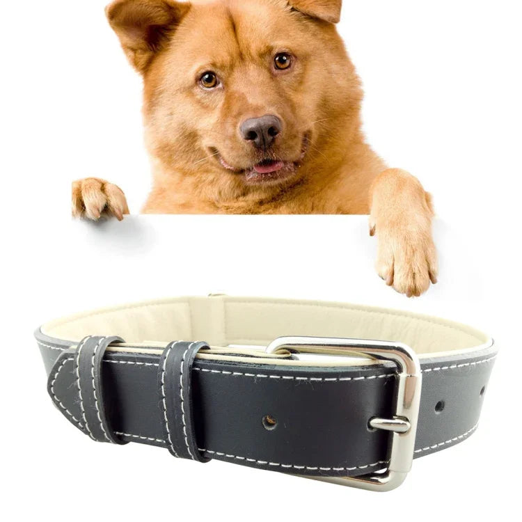 Leder-Hundehalsband, Haustierprodukte, großes Hundehalsband, Größe: L, 2,5 x 51 cm, Größe: L
