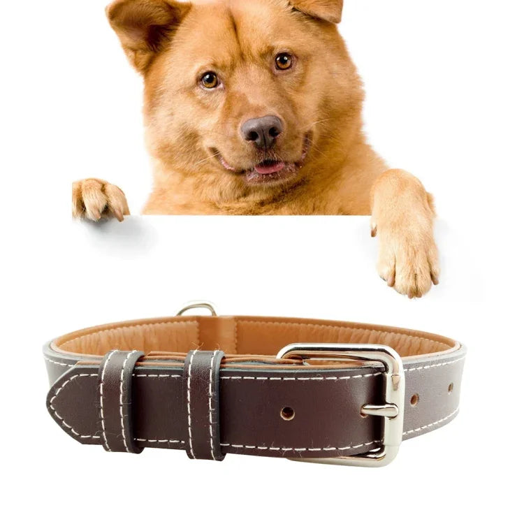 Leder-Hundehalsband, Haustierprodukte, großes Hundehalsband, Größe: M, 2 x 42 cm, Größe: M