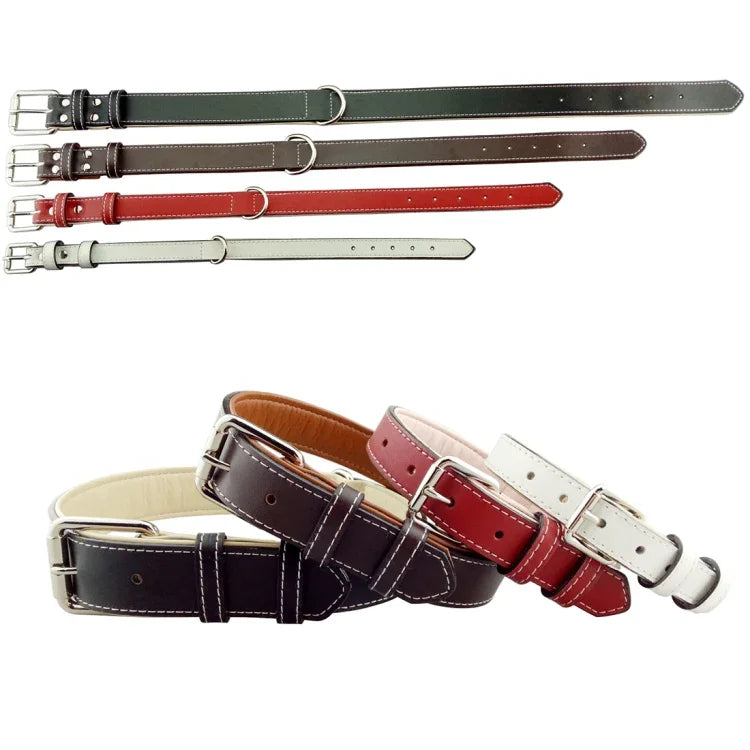 Leder-Hundehalsband, Haustierprodukte, großes Hundehalsband, Größe: M, 2 x 42 cm, Größe: M