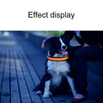 Solarbetriebenes LED-Lichthalsband mit USB-Ladefunktion für mittelgroße und große Hunde, Halsumfang: L (50–60 cm), Größe: L
