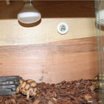 Digitales rundes Reptilienkasten-Thermometer und -Hygrometer mit Bildschirm für Centigrade