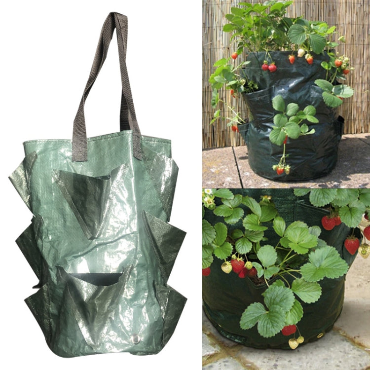 CMD-3 3 Gallonen Hängender Erdbeer-PE-Pflanzbeutel Gartenbau-Blumen-Pflanzbeutel