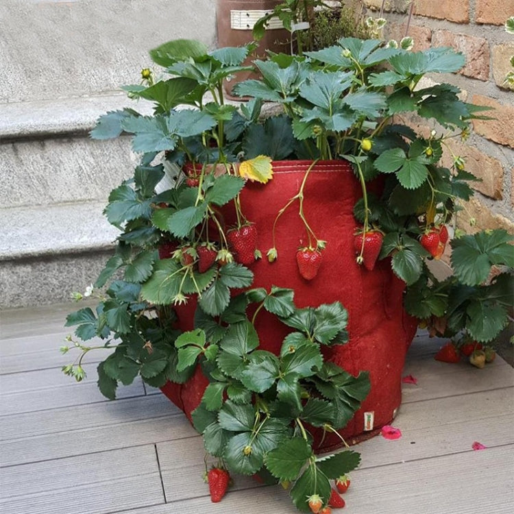 6 Taschen 26L / 7 Gallonen Vlies-Filz-Erdbeerpflanzbeutel, Größe: 30x35cm