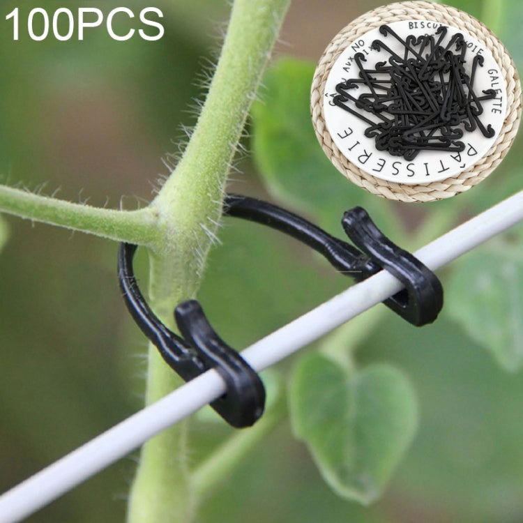 100 Stück / 2 Packungen Garten Rebe Traube gebundenes Bindeband, 100 Stück / 2 Packungen