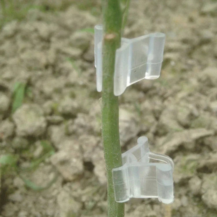 100 Stück Pflanzenveredelungs-Gartenscheren Veredelungsklemmen Transparente Kunststoff-Veredelungsklemmen für Tomaten, Pflanzenveredelungsklemmen