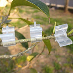 100 Stück Pflanzenveredelungs-Gartenscheren Veredelungsklemmen Transparente Kunststoff-Veredelungsklemmen für Tomaten, Pflanzenveredelungsklemmen