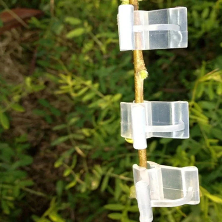 100 Stück Pflanzenveredelungs-Gartenscheren Veredelungsklemmen Transparente Kunststoff-Veredelungsklemmen für Tomaten, Pflanzenveredelungsklemmen