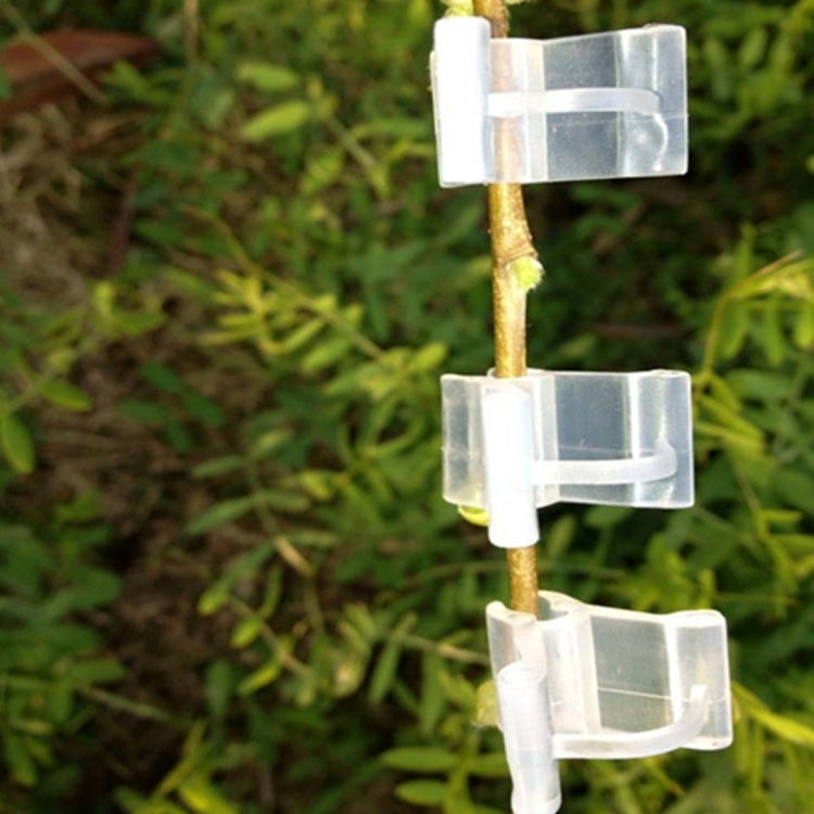 100 Stück Pflanzenveredelungs-Gartenscheren Veredelungsklemmen Transparente Kunststoff-Veredelungsklemmen für Tomaten, Pflanzenveredelungsklemmen