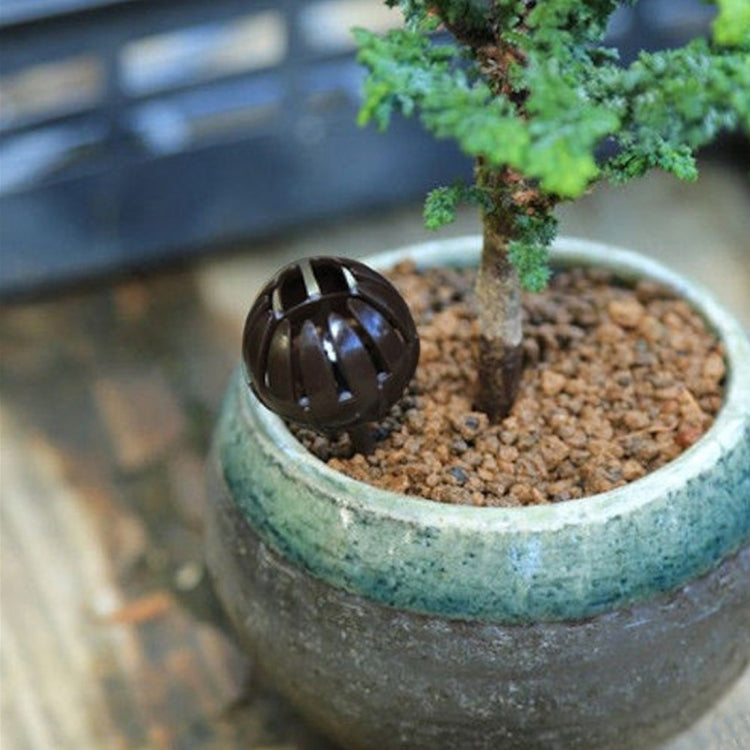 10 St. Bonsai-Werkzeuge Gartenprodukte Gartenwerkzeuge Bonsai-Düngerkästen, große Größe: 5,5 * 4 * 4 cm, Größe: L 5,5 * 4 * 4 cm, Größe: L 5,5 * 4 * 4 cm Grün