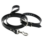 TPU-Material-Zuggurt für Hunde, Teleskop-Zugseil mit Griff, Größe: S, Seillänge: 120 cm, Halsbandgröße: 40 cm