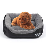 Four Seasons Original Warme Hunde-Kennelmatte Teddy Pomerang Hundematte, Größe: S, 43×32×10cm, Größe: S