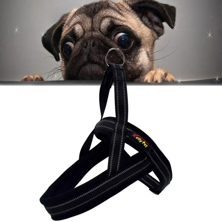 Reflektierendes Brustgeschirr aus Polyester für Hunde, Größe XS, 2,0 x 42 x 50 cm