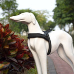 Reflektierendes Brustgeschirr aus Polyester für Hunde, Größe XS, 2,0 x 42 x 50 cm