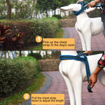Pet Dogs A7 Reflective Polyester Chest Harness Lead Leash Traction Big Dogs Safety Chain Rope Collar, Size: XS, 2.0*42*50cm, Size: XS, 2.0*42*50cm
