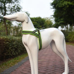 Reflektierendes Brustgeschirr aus Polyester für Hunde, Größe S, 2,0 x 50 x 62 cm