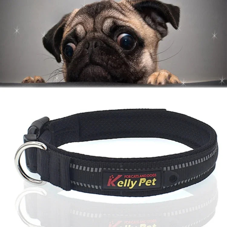 Hundehalsband mit Zugleine aus atmungsaktivem, reflektierendem Polyester, Größe: S, 2,0 x 35 x 40 cm