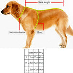 Hundehalsband mit Zugleine aus atmungsaktivem, reflektierendem Polyester, Größe: S, 2,0 x 35 x 40 cm
