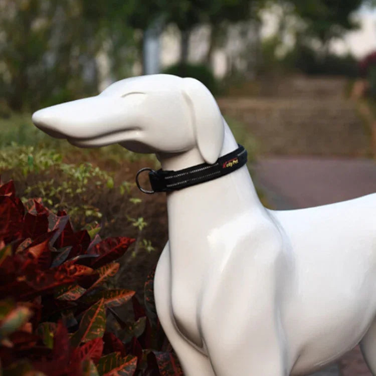 Hundehalsband mit Zugleine aus atmungsaktivem, reflektierendem Polyester, Größe: S, 2,0 x 35 x 40 cm