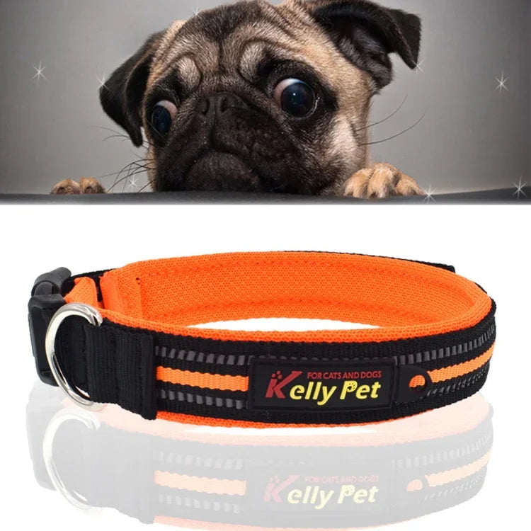 Hundehalsband mit Zugleine aus atmungsaktivem, reflektierendem Polyester, Größe: S, 2,0 x 35 x 40 cm