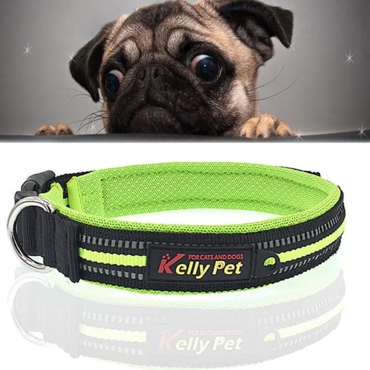 Hundehalsband mit Zugleine aus atmungsaktivem, reflektierendem Polyester, Größe: S, 2,0 x 35 x 40 cm