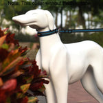 Hundehalsband mit Zugleine aus atmungsaktivem, reflektierendem Polyester, Größe: M, 2,5 x 42 x 47 cm
