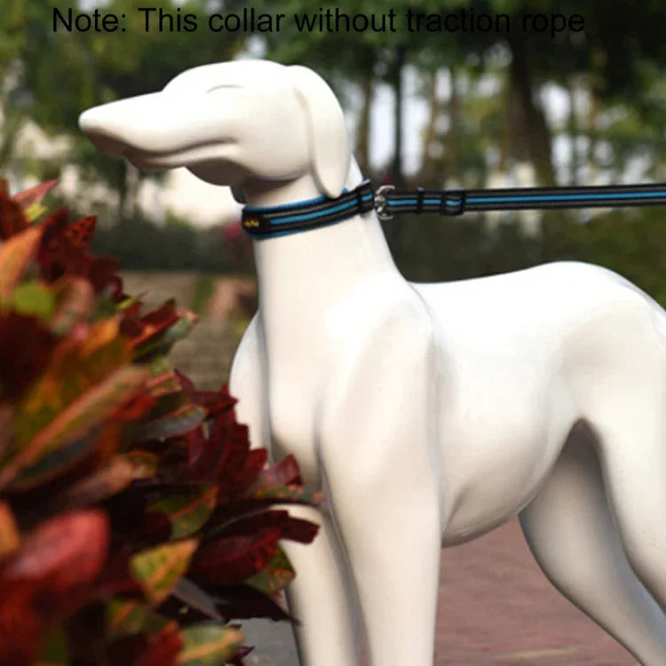 Hundehalsband mit Zugleine aus atmungsaktivem, reflektierendem Polyester, Größe: M, 2,5 x 42 x 47 cm