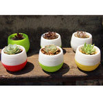 Bunte Mini Runde Pflanze Kunststoff Blumentopf Garten Büro Dekoration Anzuchttöpfe Pflanzgefäß mit Wassertank, zufällige Farbauswahl, Blumentopf 3