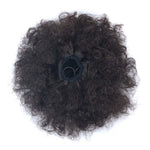 FBBZT02 Europäische und amerikanische schwarze Menschen Explosion Kopf flauschige Locken Haarnetz Perücke