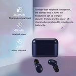 DT-4 IPX Wasserdichte Bluetooth 5.0 Kabellose Bluetooth-Ohrhörer mit 350mAh Magnetischer Ladestation, Unterstützt Anrufe, DT-4