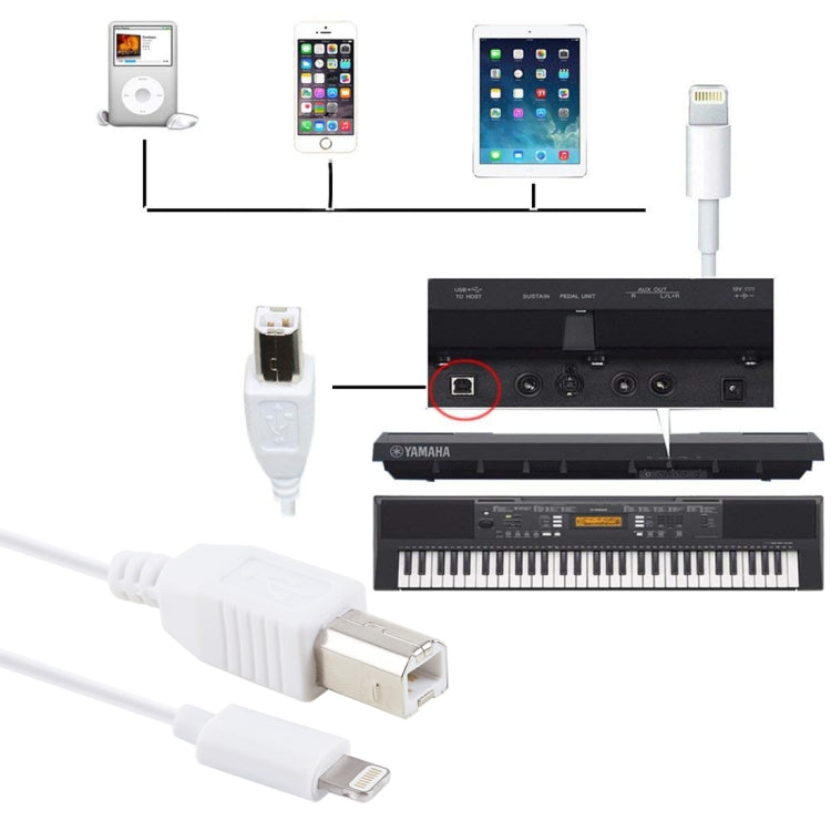 1m 8-Pin-zu-Type-B-Stecker Klavier-/Elektronisches Klavierkabel MIDI-Kabel Adapter, 8 Pin