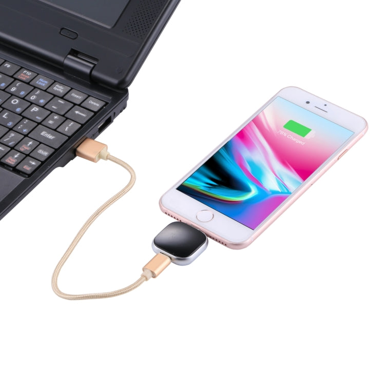 RQW-18S 8-Pin 128GB Multifunktionaler Flash-Speicher mit USB / Micro USB zu Micro USB Kabel, RQW-18S Schwarz