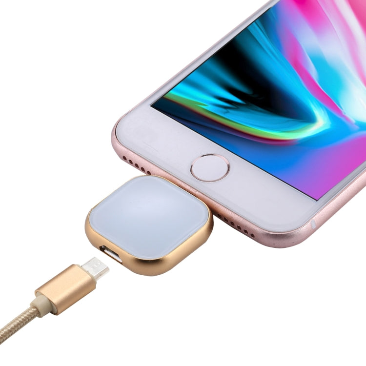 RQW-18S 8-Pin 128GB Multifunktionaler Flash-Speicher mit USB / Micro USB zu Micro USB Kabel, RQW-18S Gold
