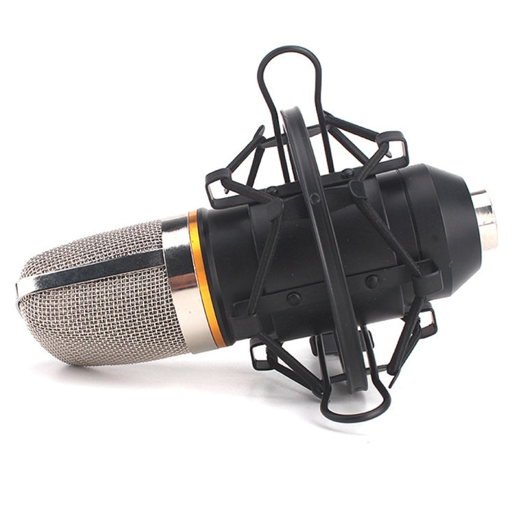 für Studioaufnahme, Live-Übertragung, Liveshow, KTV usw., Stoßhalter
