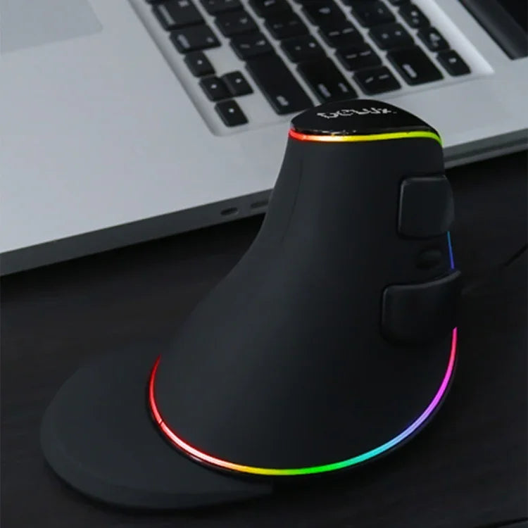 DELUX M618 Plus RGB Kabelgebundene optische Maus, ergonomische Vertikalmaus, 4000 DPI