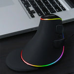 DELUX M618 Plus RGB Kabelgebundene optische Maus, ergonomische Vertikalmaus, 4000 DPI