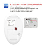 HXSJ T36 2,4G Bluetooth 5.0+3.0 Kabellose Bluetooth-Maus mit drei Modi und geräuscharmem Design