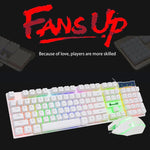 SHIPADOO D280 Kabelgebundene mechanische RGB-Tastatur mit Federmechanismus + 3D-Cool-Maus-Set für Laptop, PC, RGB-Hintergrundbeleuchtung