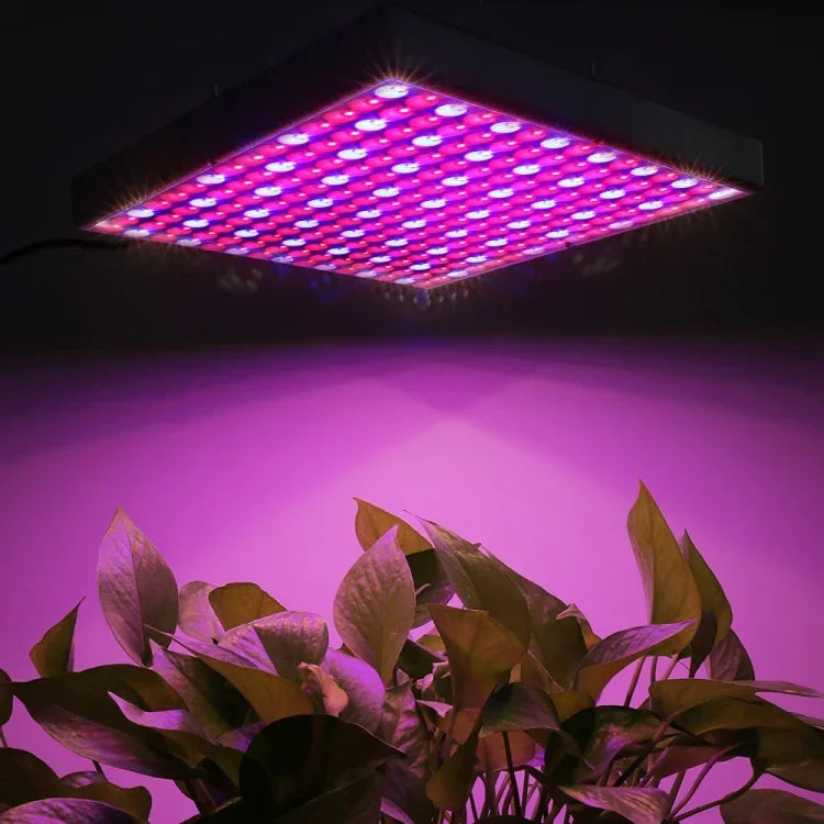 225 LEDs Gewächshauslampe Aquarienlampe, AC 85-265V, 45W/SMD 2835