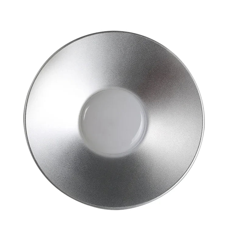 30W LED-Hallenstrahler, explosionsgeschützt, Haken ohne Kette, Engineering-Version, 30W, Engineering-Version