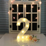 Dry Battery Powered Warm White Standing Hanging Holiday Light, LED6214A, LED6214B, LED6214C, LED6214D, LED6214E, LED6214F, LED6214G, LED6214H, LED6214J, LED6214K