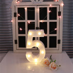 Dry Battery Powered Warm White Standing Hanging Holiday Light, LED6214A, LED6214B, LED6214C, LED6214D, LED6214E, LED6214F, LED6214G, LED6214H, LED6214J, LED6214K