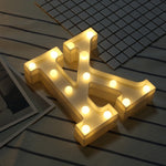 Dry Battery Powered Warm White Standing Hanging LED Holiday Light, N, A, B, O, C, P, D, Q, E, R, F, G, T, U, I, V, W, J, X, K, L, M, Z