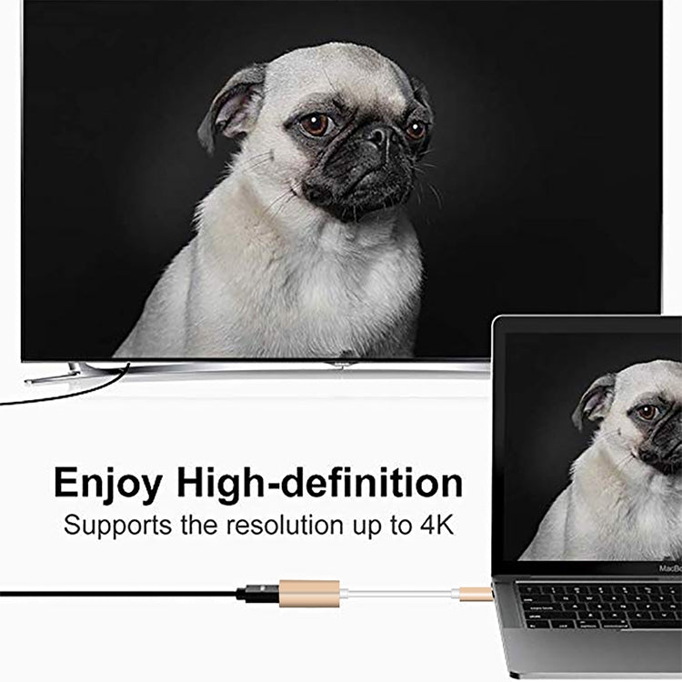 USB-C / Type-C 3.1 Stecker zu Mini DP Buchse HD Konverter, Länge: 12cm, Silber, Gold