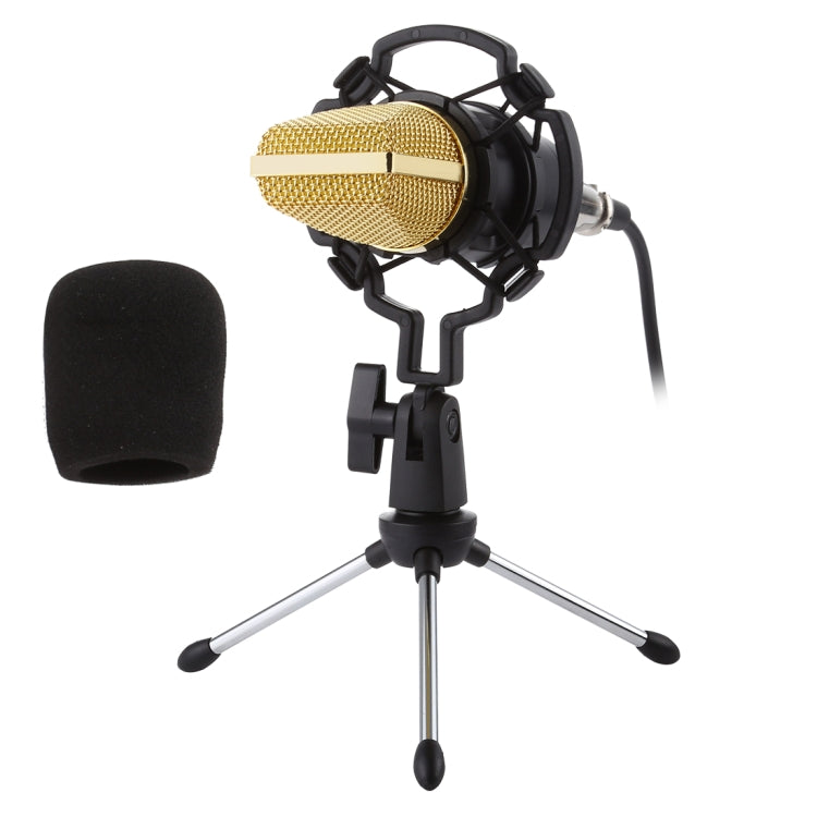 BM-700 USB Professionelles Kondensatormikrofon