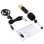 BM-700 USB Professionelles Kondensatormikrofon