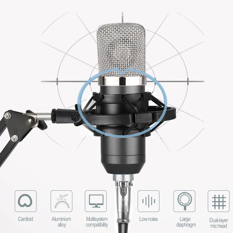 BM-700 USB Professionelles Kondensatormikrofon